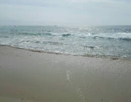 Mu-Xuan Lin — 林慕萱