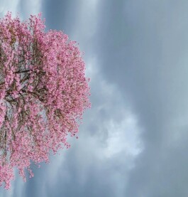 Mu-Xuan Lin — 林慕萱