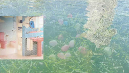 Mu-Xuan Lin — 林慕萱